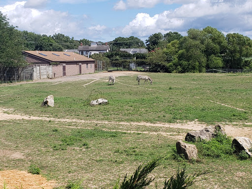 Zoo «Cape May County Park & Zoo», reviews and photos, 707 U.S. 9, Cape May Court House, NJ 08210, USA