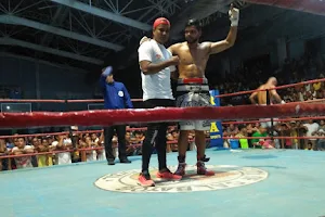 Sagar Narwat Boxer image