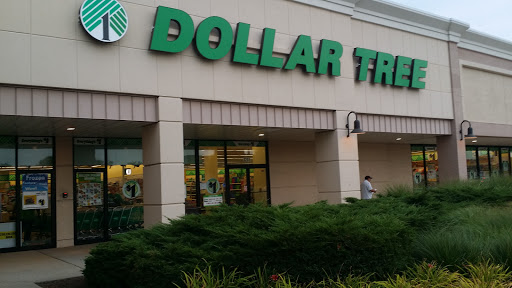 Dollar Store «Dollar Tree», reviews and photos, 3208 Kirchoff Rd, Rolling Meadows, IL 60008, USA