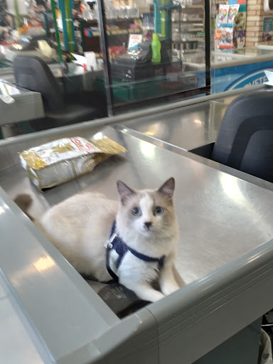 Mania's em Campinas - SP