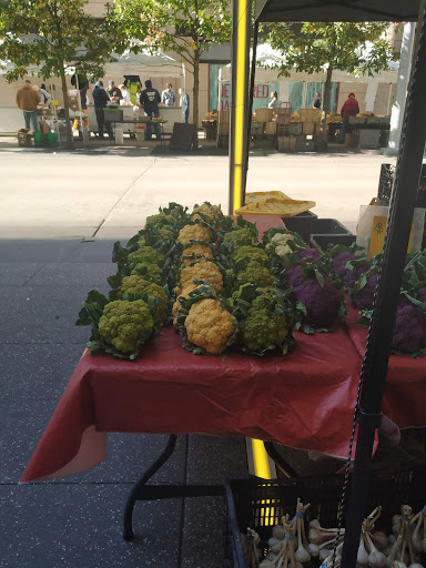 Shopping Mall «Gaviidae Common», reviews and photos, 651 Nicollet Mall #125, Minneapolis, MN 55402, USA