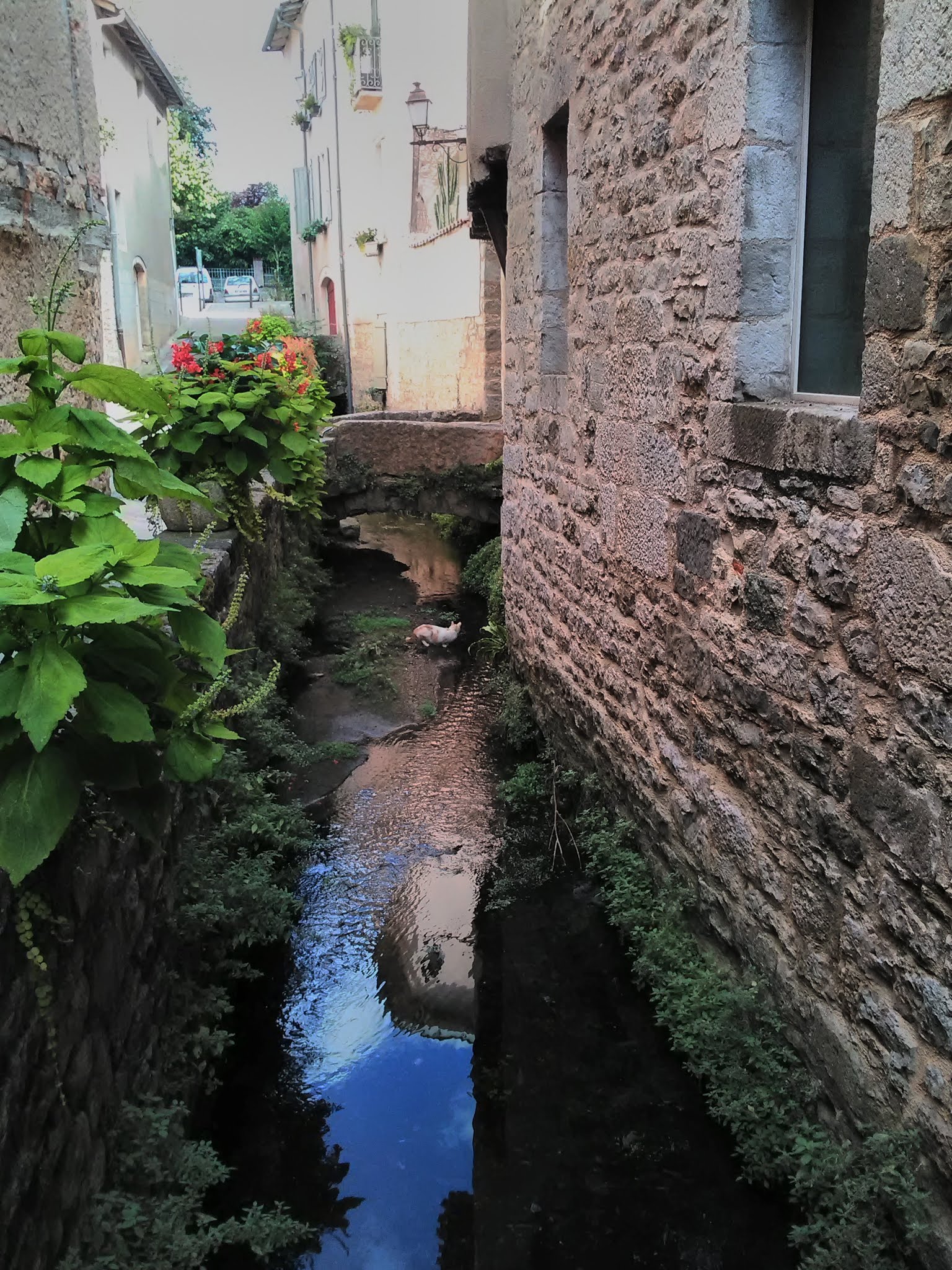Photo n° 12 de l'avis de jedalo.o fait le 05/09/2019 à 10:54