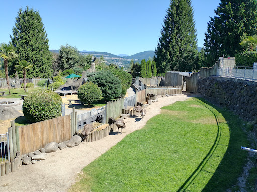 Zoo «Cougar Mountain Zoo», reviews and photos, 19525 SE 54th St, Issaquah, WA 98027, USA