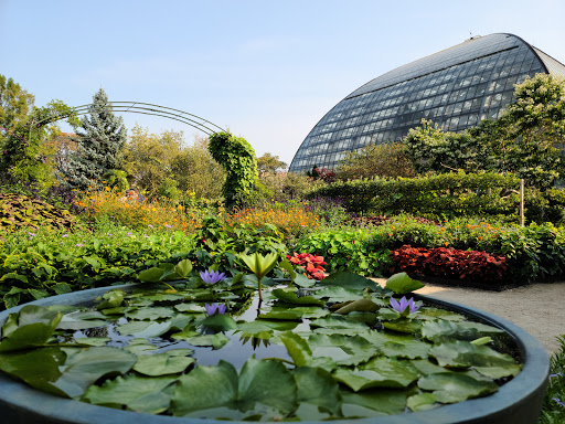 Park «Garfield Park Conservatory», reviews and photos, 300 N Central Park Ave, Chicago, IL 60624, USA