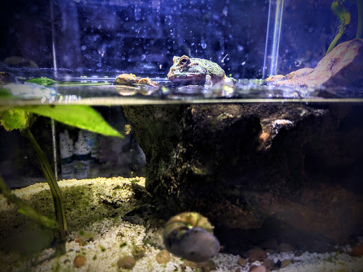 Tropical Fish Store «Sunset Pet & Supplies», reviews and photos, 1373 Sunset Blvd, Los Angeles, CA 90026, USA