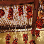 Photo n°13 de l'avis de Ina.t fait le 05/10/2023 à 19:04 sur le  Hotel Terme Villa Angela à Forio