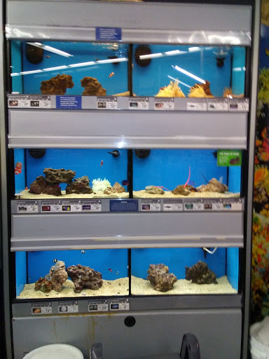 Pet Supply Store «Petco Animal Supplies», reviews and photos, 80 Plaza Dr, Bloomsburg, PA 17815, USA