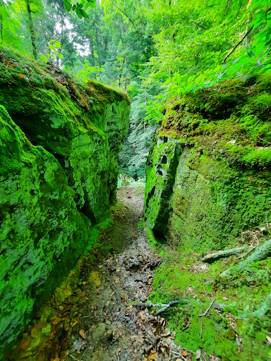 Nature Preserve «Fern Cliff Nature Preserve», reviews and photos, W County Rd 375 S, Greencastle, IN 46135, USA