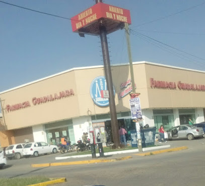 Farmacia Guadalajara, , El Salto