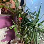 Photo n°7 de l'avis de Francesco.i fait le 27/12/2023 à 19:13 sur le  Hotel Florivana à San Pietro In Cariano