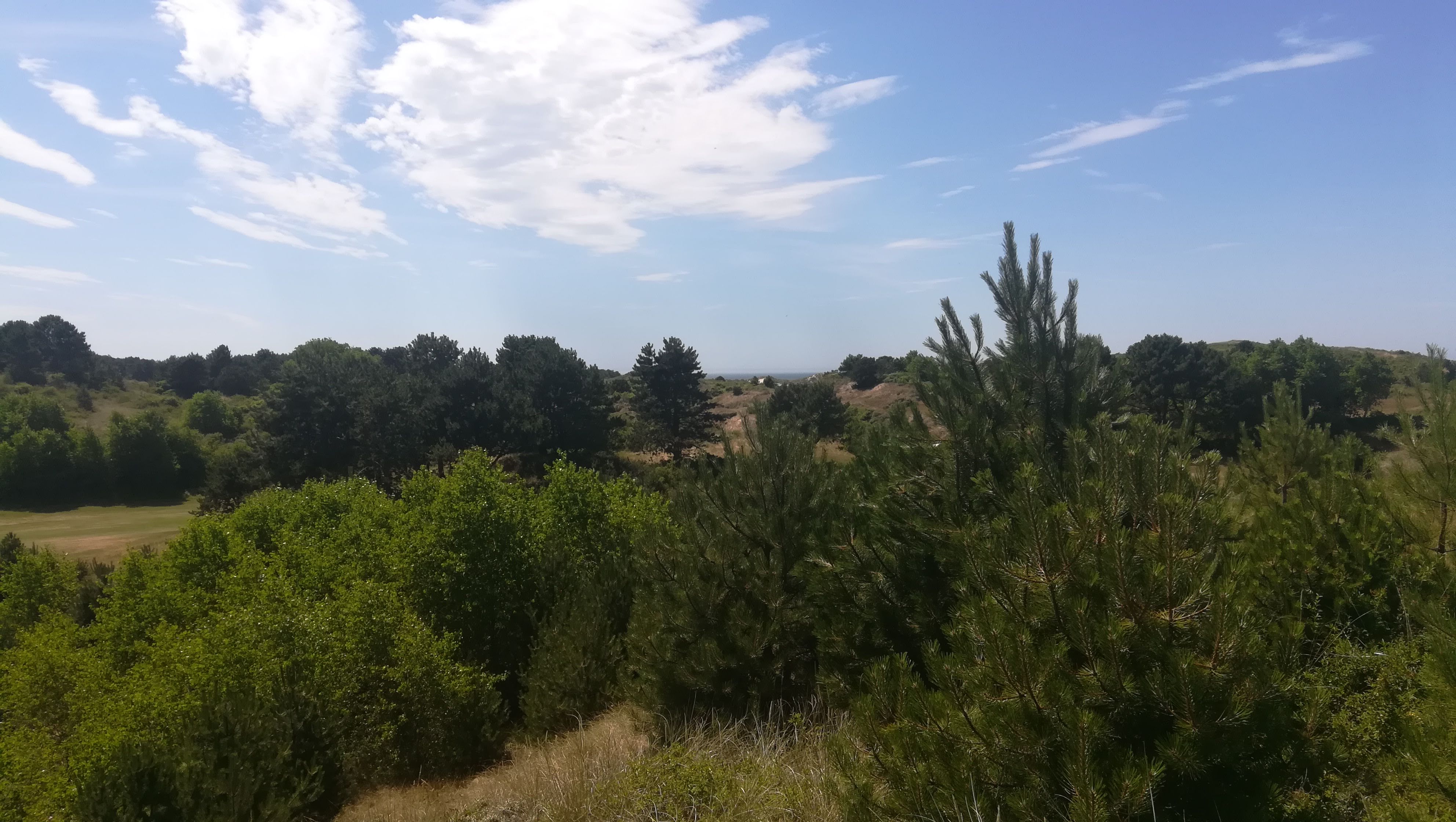 Photo n° 1 de l'avis de stefan.r fait le 02/07/2018 à 16:38