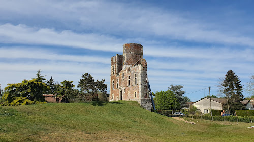 Château de l'Isle à Saint-Denis-en-Val