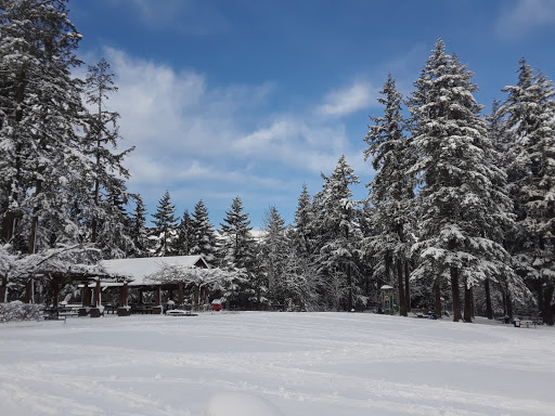 Park «Angle Lake Park», reviews and photos, 19408 International Blvd, SeaTac, WA 98188, USA