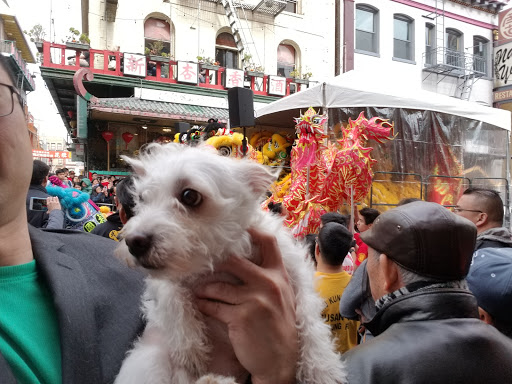 Dessert Shop «Dragon Papa», reviews and photos, 752 Grant Ave, San Francisco, CA 94108, USA