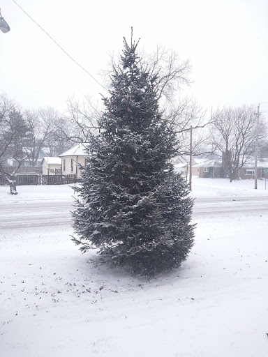 Supermarket «ALDI», reviews and photos, 1880 38th St, Rock Island, IL 61201, USA