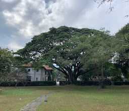 Lanna Traditional House Museum (CMULHM) photo
