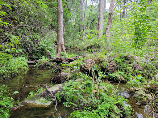 Non-Profit Organization «Westcave Outdoor Discovery Center», reviews and photos, 24814 Hamilton Pool Rd, Round Mountain, TX 78663, USA