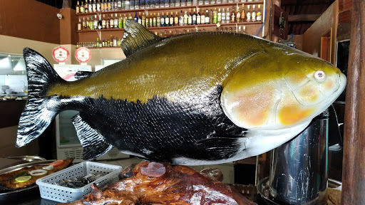 Mercado de peixes e frutos do mar Manaus