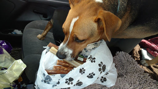 Pet Store «Bark Avenue Healthy Pets», reviews and photos, 426 21st St, Vero Beach, FL 32960, USA