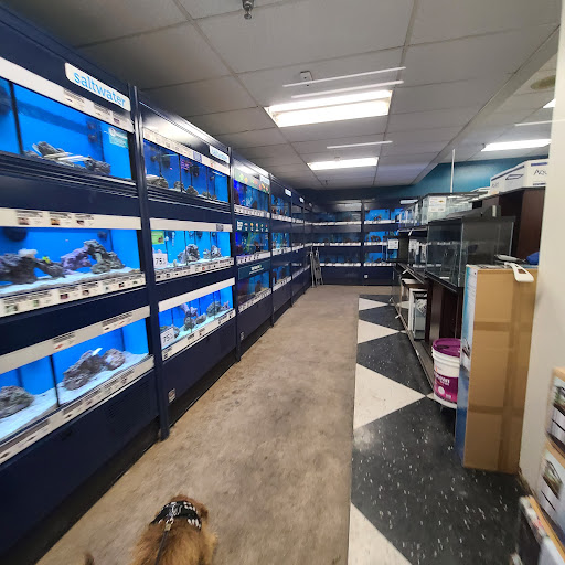 Pet Supply Store «Petco Animal Supplies», reviews and photos, 3525 W Victory Blvd, Burbank, CA 91505, USA