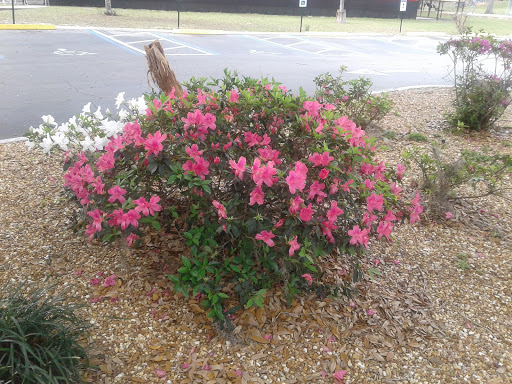 Community Center «Silver Springs Shores Community Center», reviews and photos, 590 Silver Rd, Ocala, FL 34472, USA