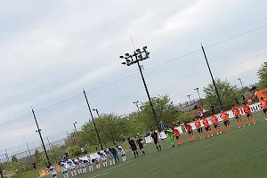 Yamato Yutorinomori Daikibo Tamokuteki Sports Park image