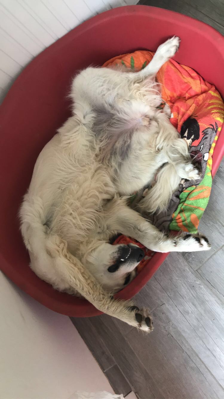 Photo n° 1 de l'avis de Ophélie.e fait le 21/08/2020 à 13:21