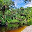 Cross Seminole Trail - Black Hammock Trailhead