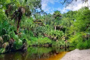 Cross Seminole Trail - Black Hammock Trailhead image