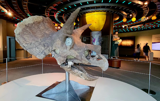 Museum «Louisiana Art & Science Museum», reviews and photos, 100 S River Rd, Baton Rouge, LA 70802, USA