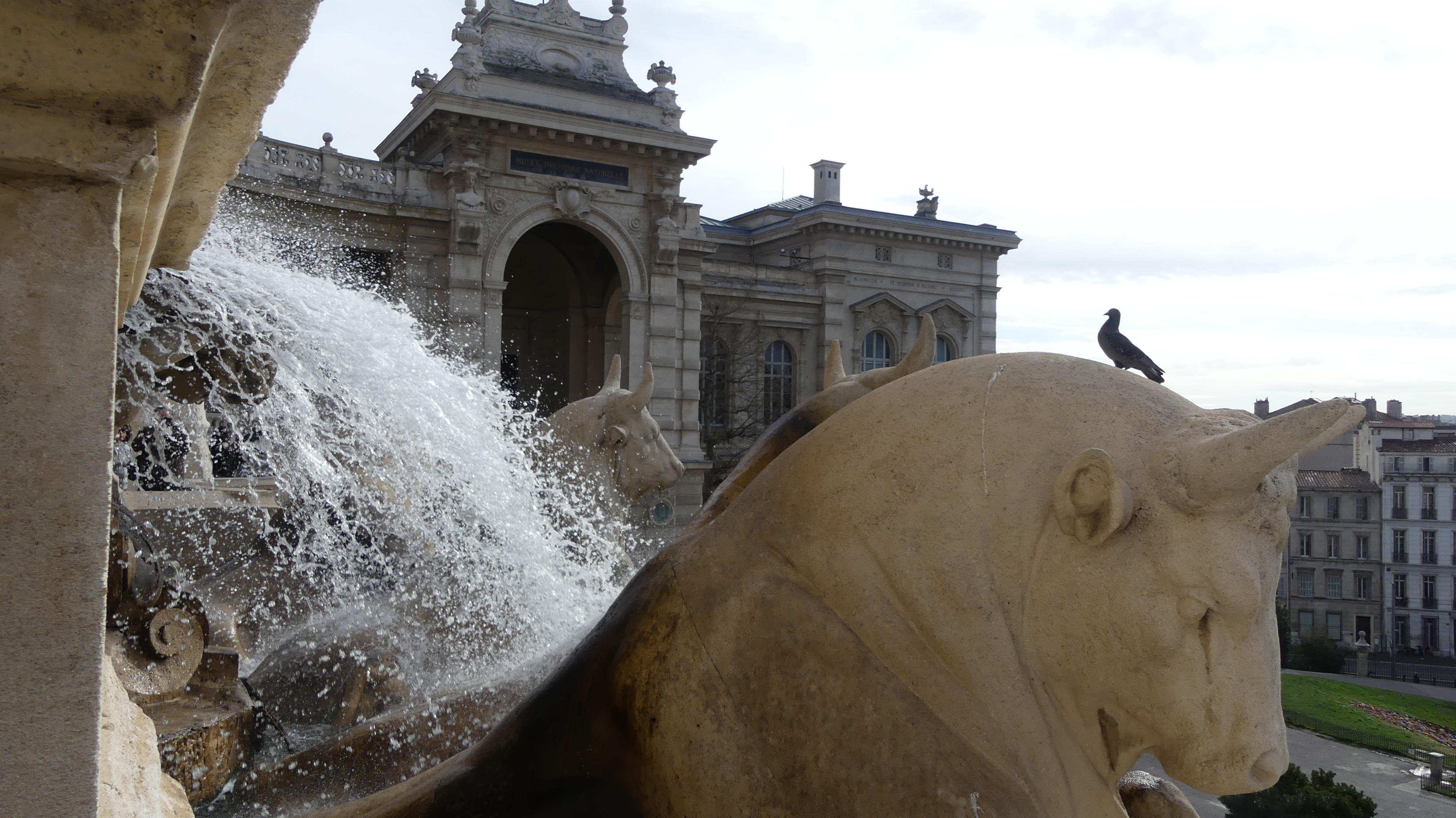Photo n° 31 de l'avis de Titi.a fait le 04/07/2017 à 22:26