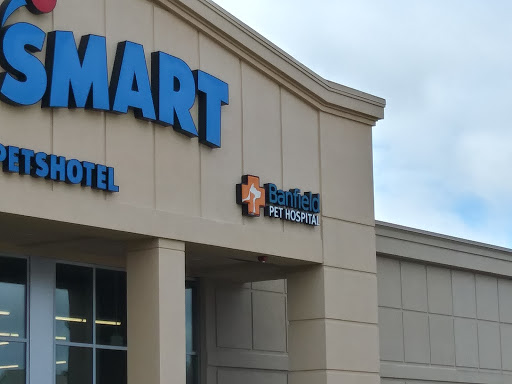 Pet Supply Store «PetSmart», reviews and photos, 265 Chelmsford St, Chelmsford, MA 01824, USA