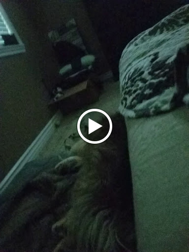 Cell Phone Store «T-Mobile», reviews and photos, 5050 Arlington Ave Suite 100, Riverside, CA 92504, USA