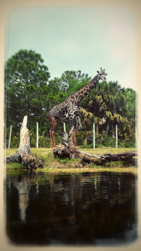 Zoo «Brevard Zoo», reviews and photos, 8225 N Wickham Rd, Melbourne, FL 32940, USA