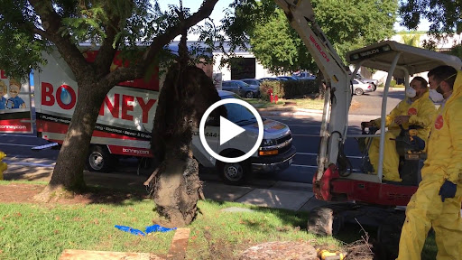 Plumber «Bonney Plumbing, Electrical, Heating & Air», reviews and photos, 3054 Gold Canal Dr, Rancho Cordova, CA 95670, USA