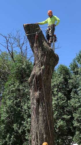 Garcia’s Tree Climbing Service