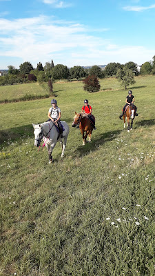 Equi Mel à Saussenac