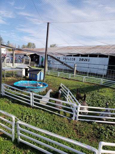 Amusement Center «Maris Farms», reviews and photos, 25001 Sumner Buckley Hwy, Buckley, WA 98321, USA
