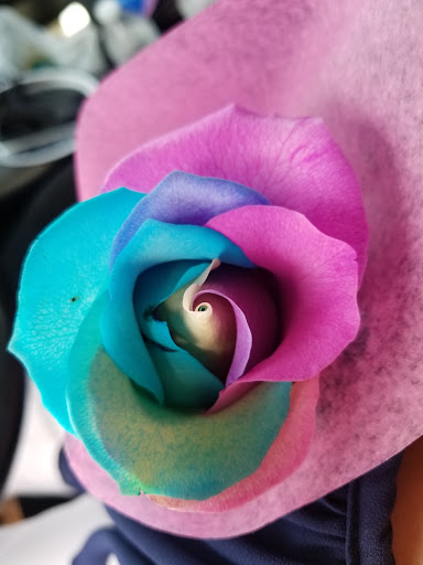 Florist «Flowerama Florist: Westerville», reviews and photos, 635 S State St, Westerville, OH 43081, USA