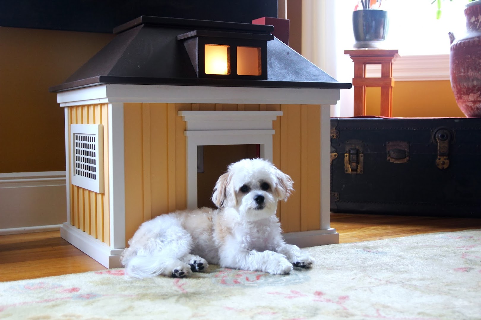 Dogmestic - Indoor Doghouses of Distinction