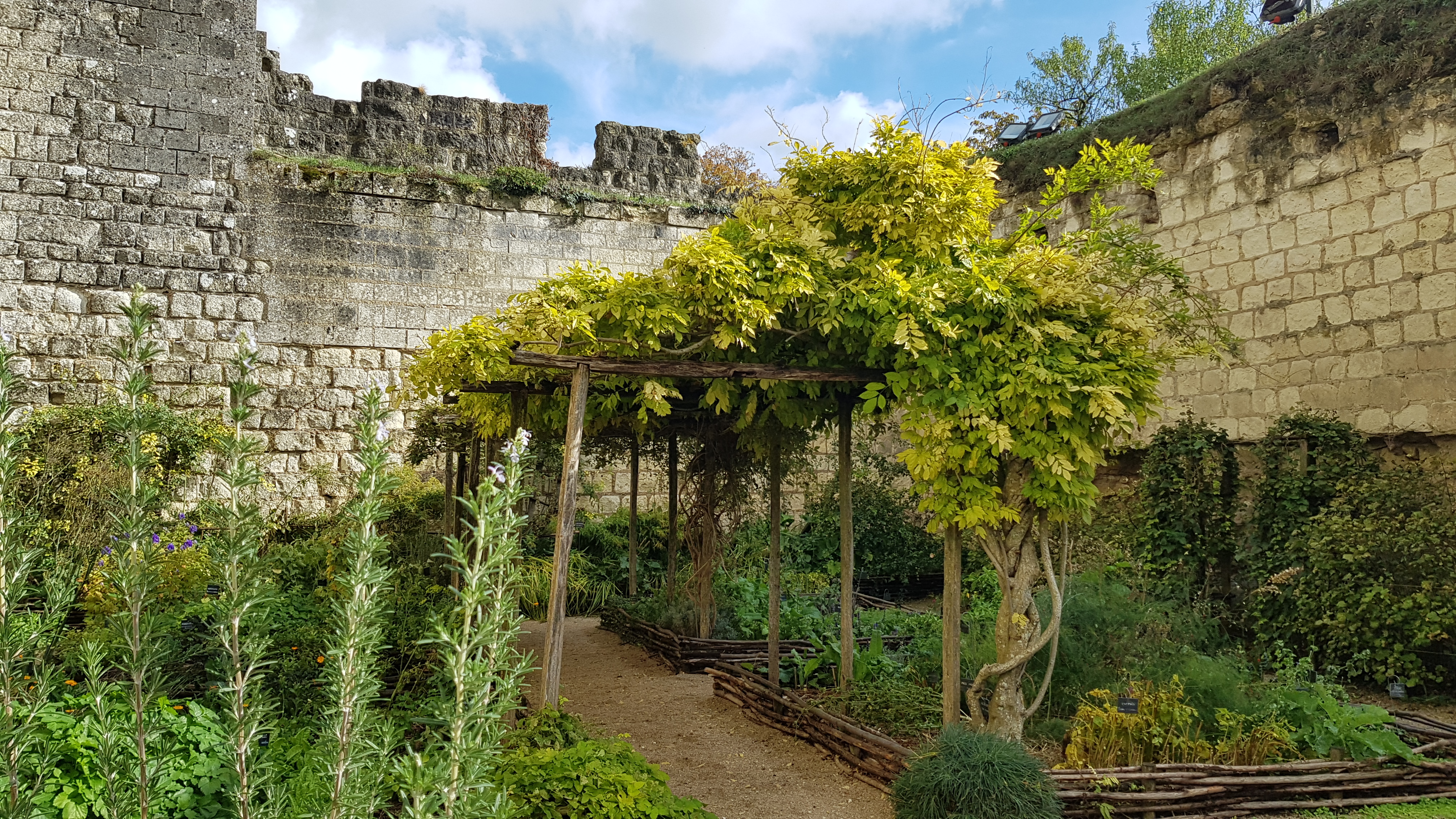 Photo n° 3 de l'avis de Celine.o fait le 23/10/2019 à 06:48