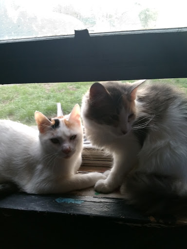 Fairground «Owen County Fairgrounds», reviews and photos, S East St, Spencer, IN 47460, USA