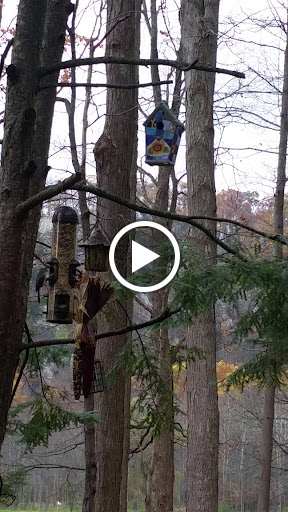 Private Golf Course «Panther Valley Golf & Country Club», reviews and photos, 1 Forest Dr, Allamuchy Township, NJ 07820, USA