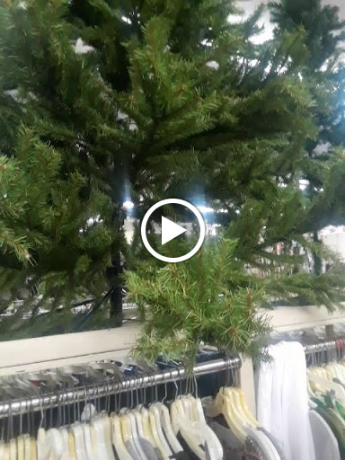 Thrift Store «American Family Services Inc», reviews and photos, 541 Milford St, Easton, PA 18045, USA