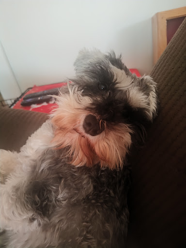 Southern Medina Veterinary Clinic