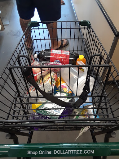Dollar Store «Dollar Tree», reviews and photos, 2135 Howland Blvd #110, Deltona, FL 32738, USA