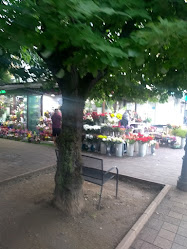 Магазин за цветя - Магнолия
