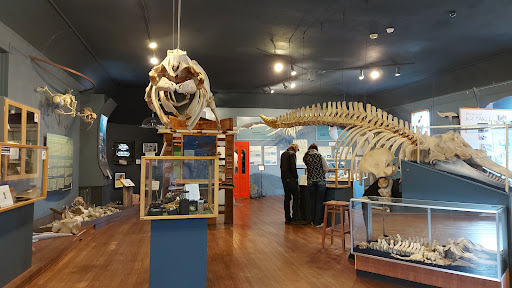 Museum «The Whale Museum», reviews and photos, 62 1st St, Friday Harbor, WA 98250, USA
