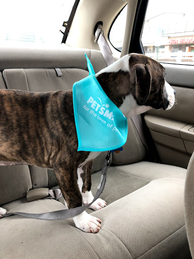 Pet Supply Store «PetSmart», reviews and photos, 131 Town Center Rd, King of Prussia, PA 19406, USA