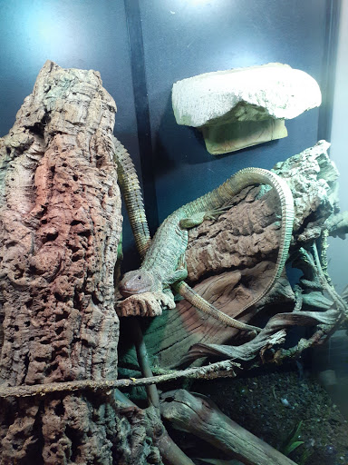 Reptile Store «Pets & Things», reviews and photos, 44825 Van Dyke, Utica, MI 48317, USA